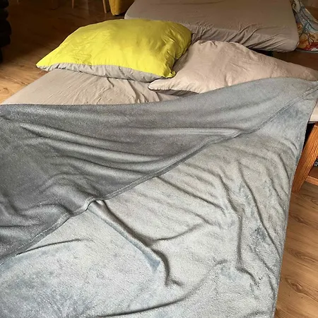 Historische Maisonettewohnung Bis 10 Gaeste, Magic Pass Belalp, Rosswald Und Mehr