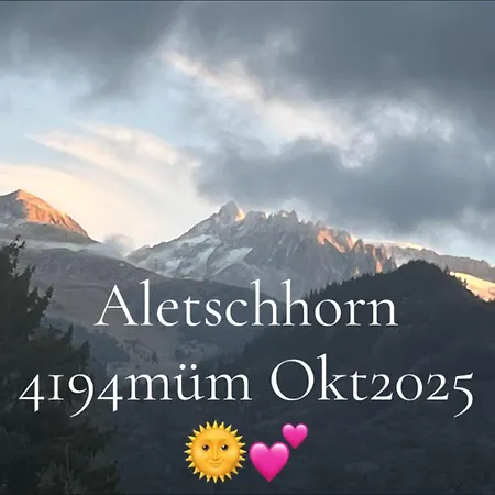 Daire Historische Maisonettewohnung Bis 10 Gaeste, Magic Pass Belalp, Rosswald Und Mehr Naters