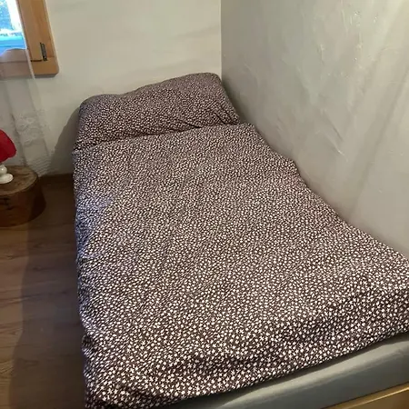 Historische Maisonettewohnung Bis 9 Gaeste, Magic Pass Belalp, Rosswald Und Mehr Apartament Naters