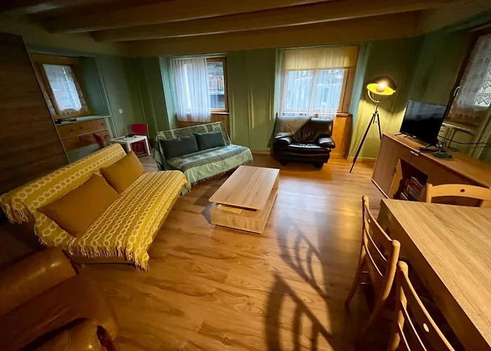 Διαμέρισμα Historische Maisonettewohnung Bis 10 Gaeste, Magic Pass Belalp, Rosswald Und Mehr Naters